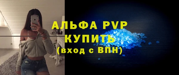 a pvp Новозыбков