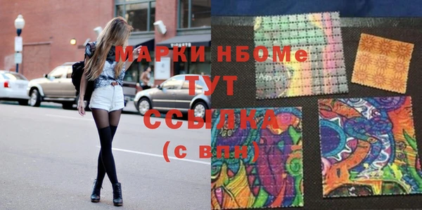 a pvp Новозыбков