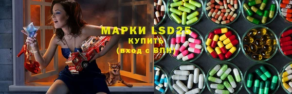a pvp Новозыбков