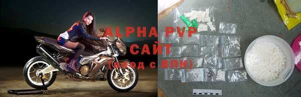 a pvp Новозыбков